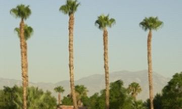 Fairway Vacation Rentals