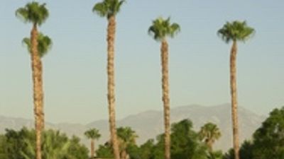 Fairway Vacation Rentals