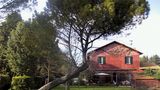 Tenuta Agricola Fonte di Papa Other