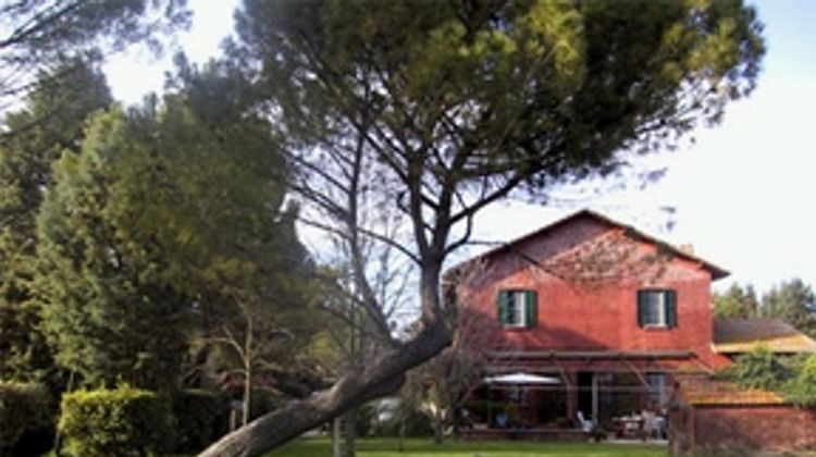 Tenuta Agricola Fonte di Papa Other