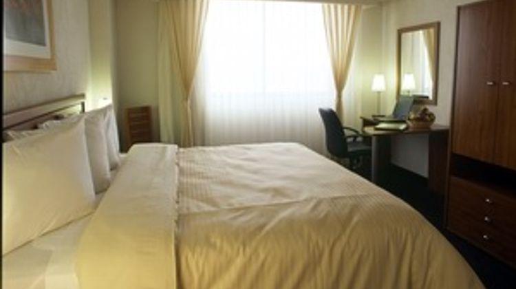 Holiday Inn Mexico Coyoacan Room