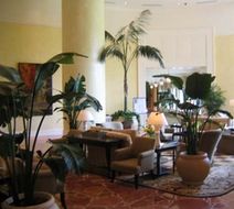 InterContinental Buckhead Atlanta Lobby