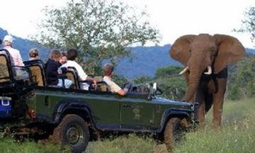 Mkuze Falls Private Game Reserve