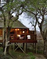 Hamiltons Tented Camp
