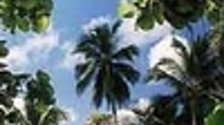 <b>Maya Ranch Resort Pool</b>