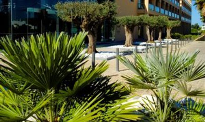 Suites San Rafael Exterior