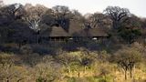 Elewana Tarangire Treetops Exterior