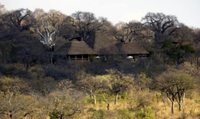 Elewana Tarangire Treetops Exterior