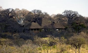 Elewana Tarangire Treetops