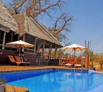Elewana Tarangire Treetops Pool