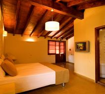 Alp Pasa Boutique Hotel Room