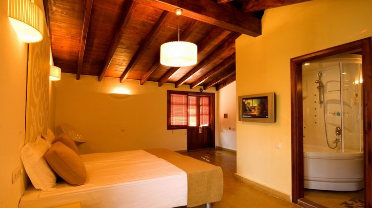 Alp Pasa Boutique Hotel Room