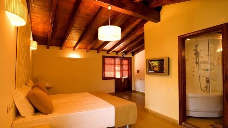 <b>Alp Pasa Boutique Hotel Room</b>
