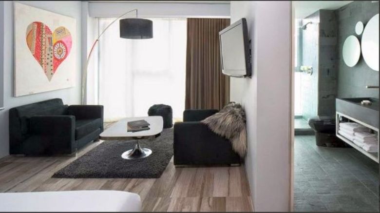 <b>Hotel on Rivington Room</b>