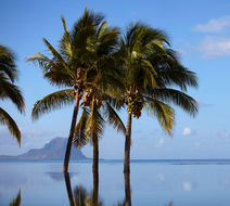 Maradiva Villas Resort & Spa Pool