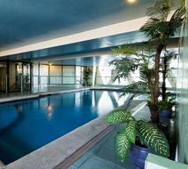 Berjaya Makati Hotel Pool