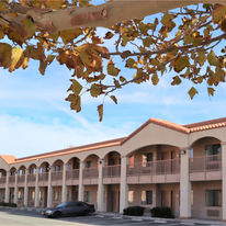 Starlight Inn & Suites