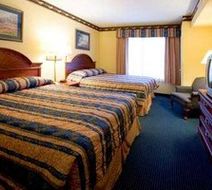Executive Inn & Suites Room