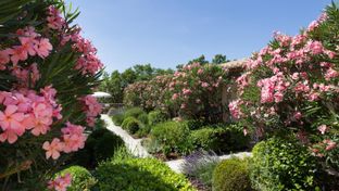 Hotel Le Jas de Gordes