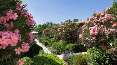 Hotel Le Jas de Gordes