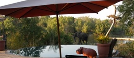 SanctuarySussi Lodge & Chuma House Pool