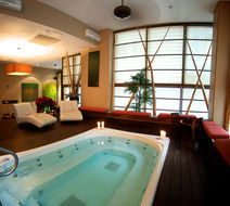 Executive Hotel Cosmopolitan Toronto Pool