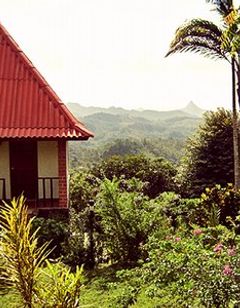 Cerro la Vieja Eco-Hotel & Spa