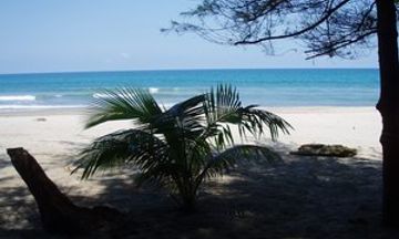 Caribbean Coral Inn Tela