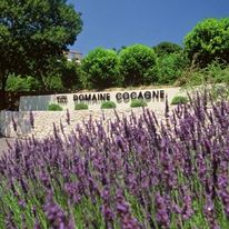 Sandton Hotel Domaine Cocagne