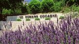 Sandton Hotel Domaine Cocagne Exterior