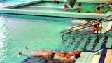 Hunguest Hotel Panorama Pool