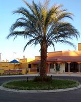 Hotel Quinta del Sol by Solmar