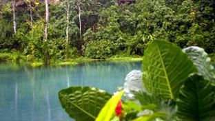 Rafiki Safari Lodge