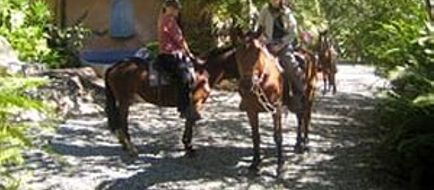 Rio Chirripo Mountain Retreat Recreation