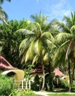 Ylang Ylang Beach Resort