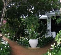 Ancient House Resort Exterior