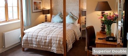 Honest Lawyer Hotel Suite