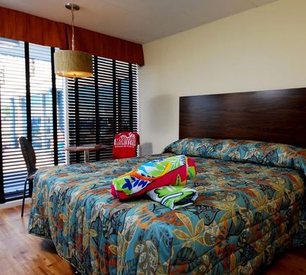 Blue Palms Room