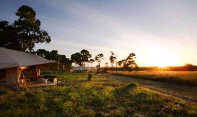 Sayari Camp Exterior