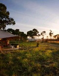 Sayari Camp