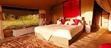 Sayari Camp Room