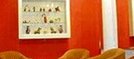 Terra Andina Hotel Lobby