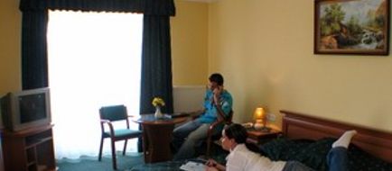 Hotel Viktoria Room