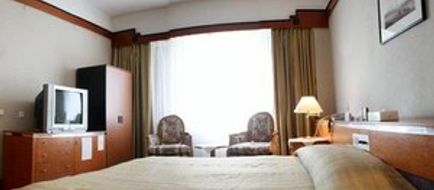 Chinggis Khaan Hotel Room