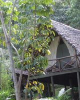 Karama Lodge & Spa