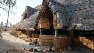 Mwagusi Safari Lodge