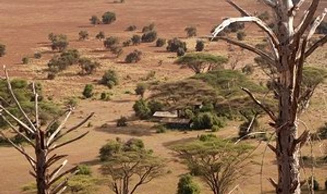 West Kilimanjaro Tented Camp Exterior