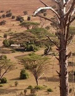 West Kilimanjaro Tented Camp