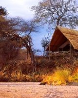 Jongomero Camp