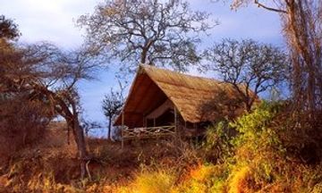 Jongomero Camp